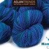 AslanTrends
